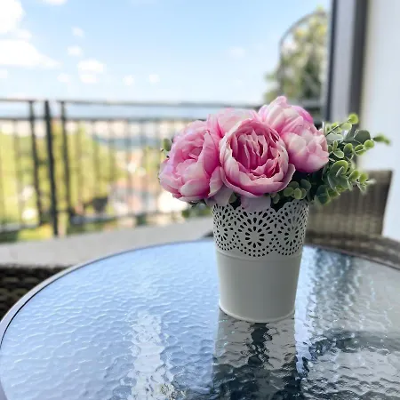 Dream ボイニツェ