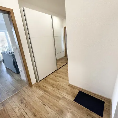 Dream * 보이니체